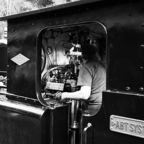 Five things to do on the Tasman Peninsula