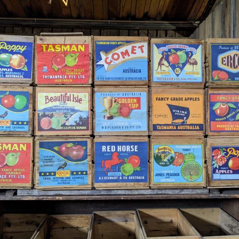 Five things to do on the Tasman Peninsula